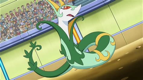 serperior anime.